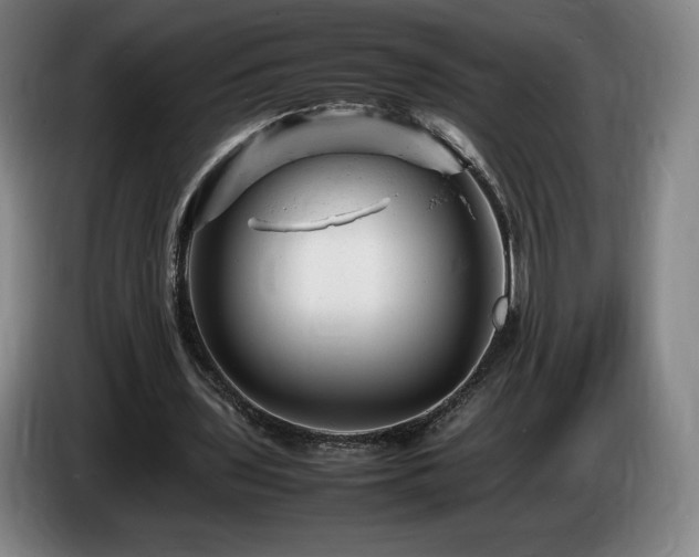 X0000085290435200703091413