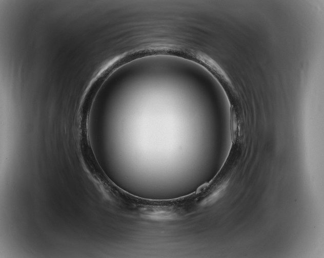 X0000085290436200703091413