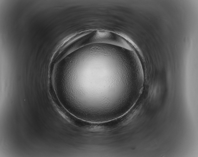 X0000085290437200703091413