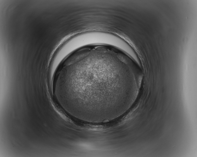 X0000085290438200703091413