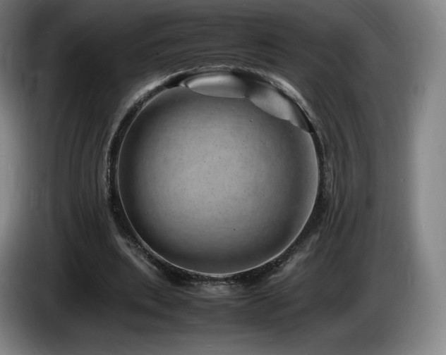 X0000085290439200703091413