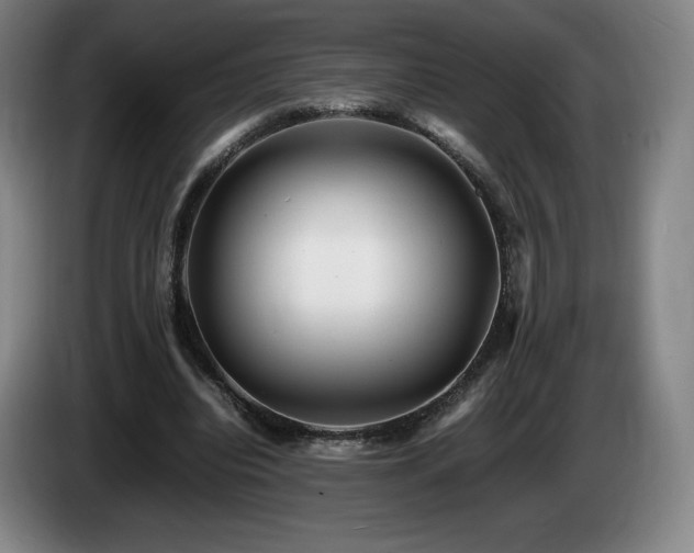 X0000085290440200703091413