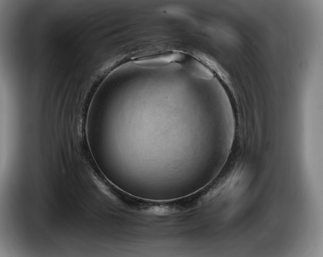 X0000085290441200703091413