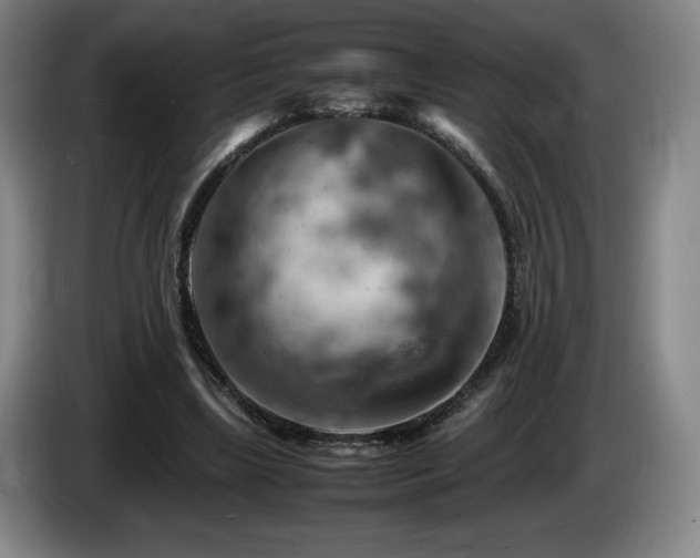 X0000085290443200703091413