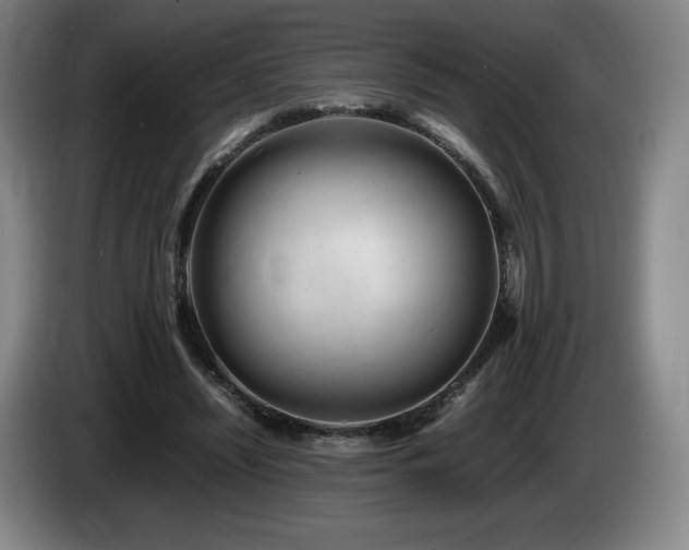 X0000085290444200703091413