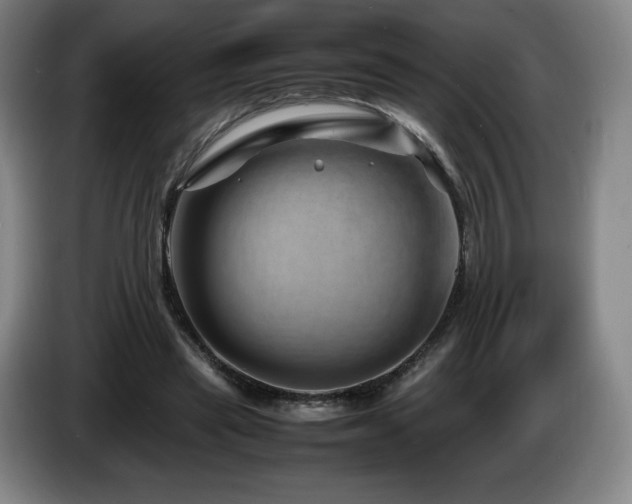 X0000085290445200703091413