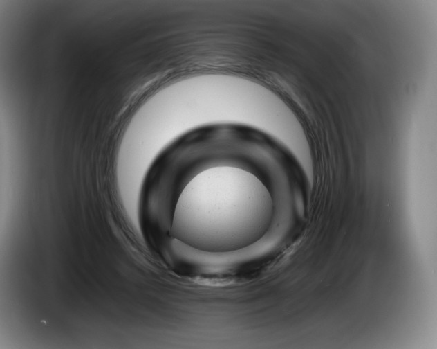 X0000085290448200703091413