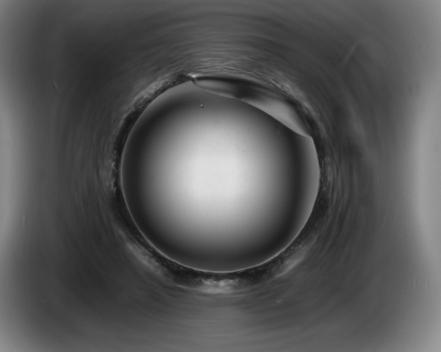 X0000085290450200703091413