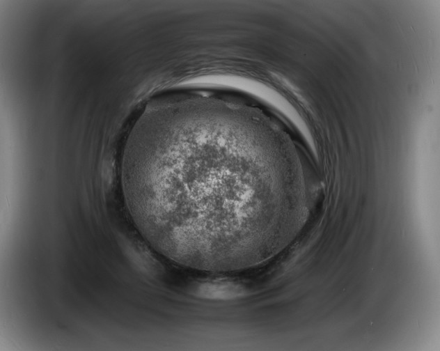 X0000085290451200703091413