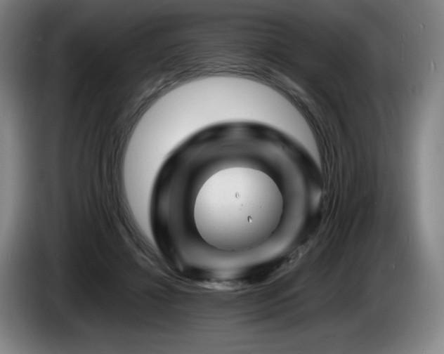X0000085290452200703091413