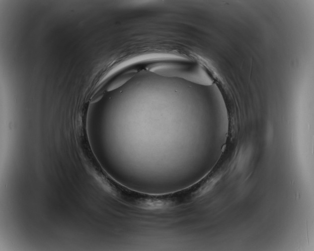 X0000085290453200703091413