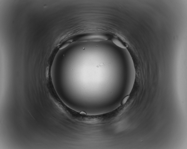 X0000085290454200703091413