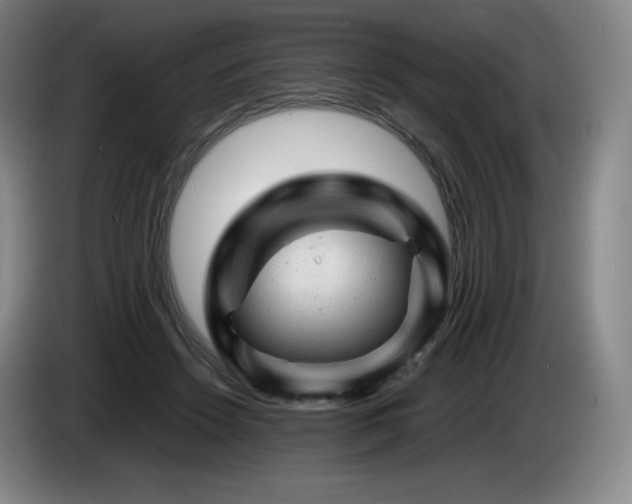 X0000085290456200703091413