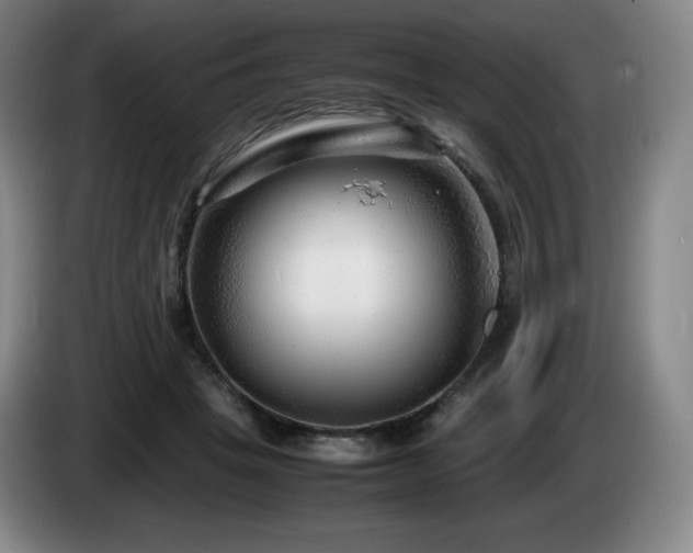 X0000085290457200703091413