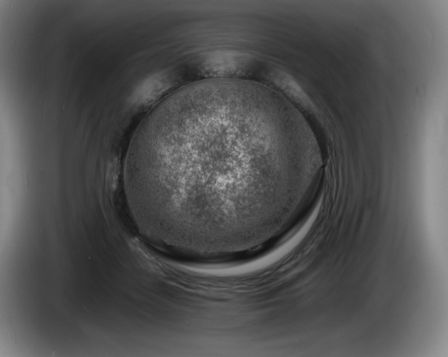 X0000085290458200703091413