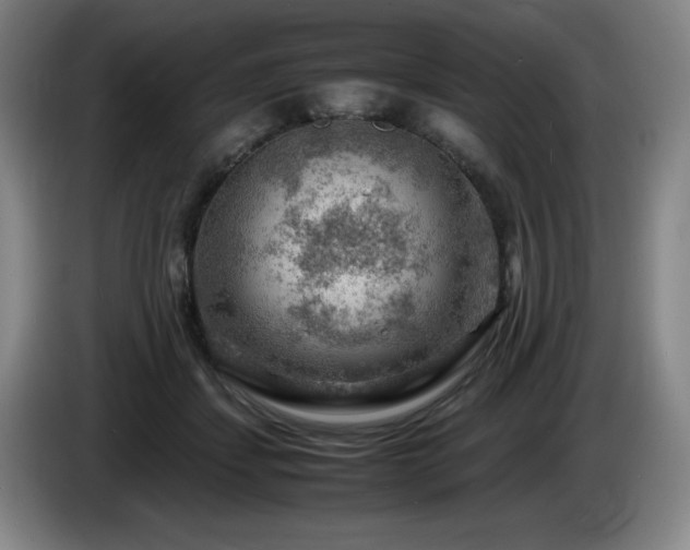 X0000085290459200703091413