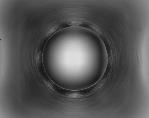 X0000085290460200703091413