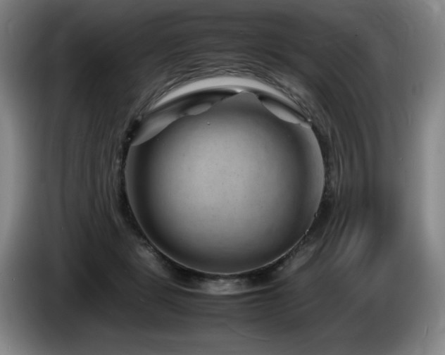 X0000085290461200703091414