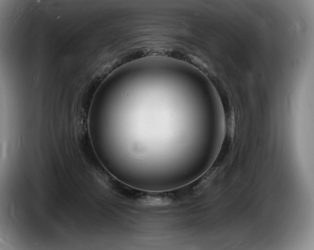 X0000085290464200703091414