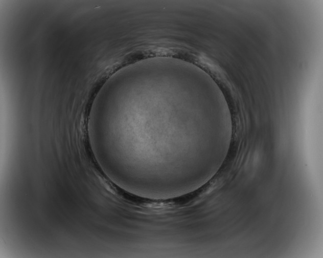X0000085290465200703091414