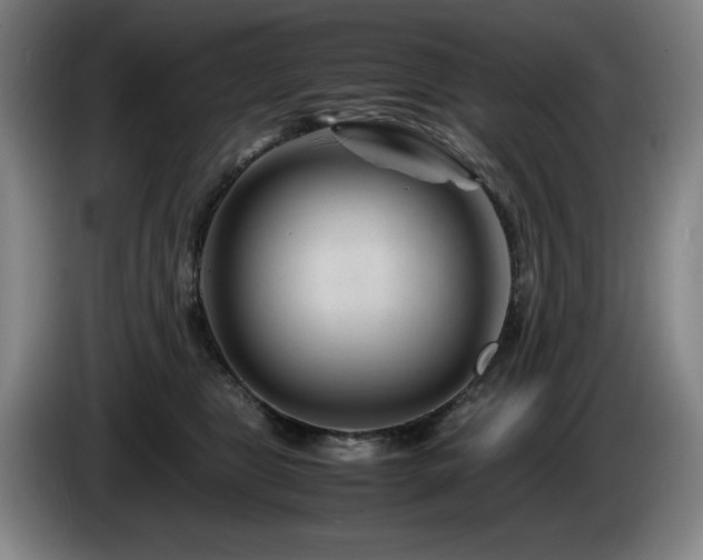 X0000085290469200703091414