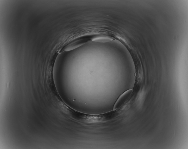 X0000085290473200703091414