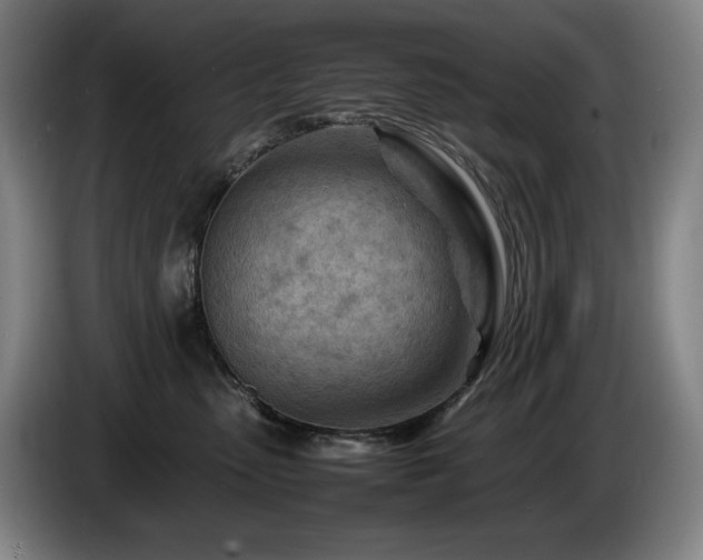 X0000085290475200703091414