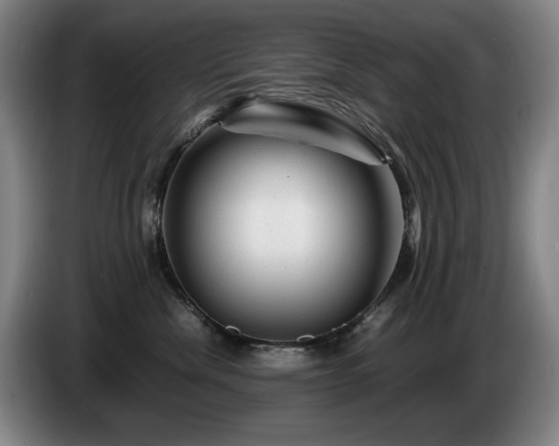 X0000085290476200703091414