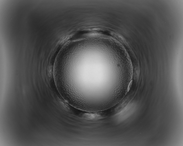 X0000085290477200703091414