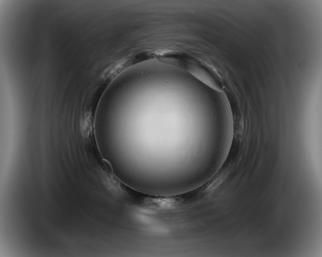 X0000085290478200703091414