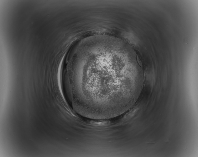 X0000085290479200703091414