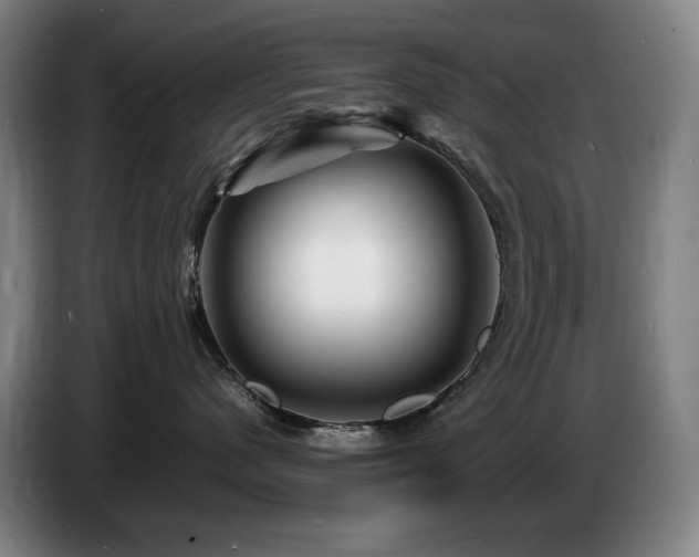 X0000085290480200703091414