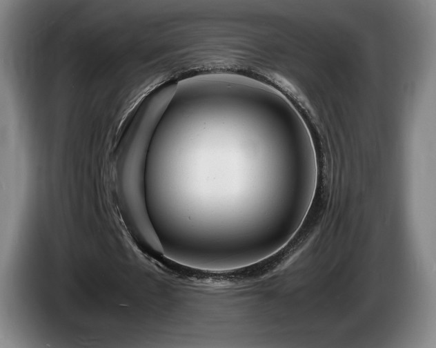 X0000085290481200703091413