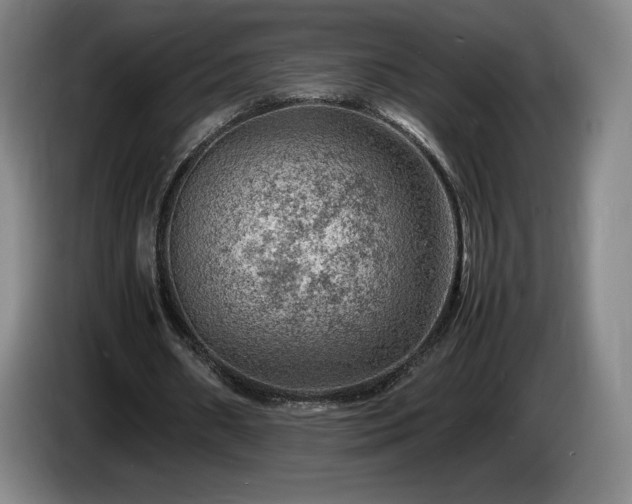 X0000085290482200703091413