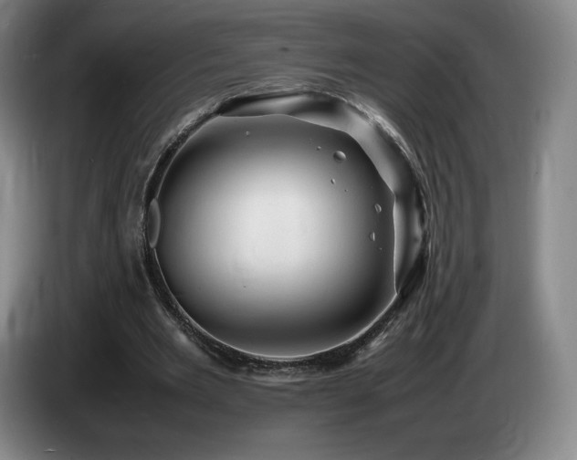 X0000085290485200703091413