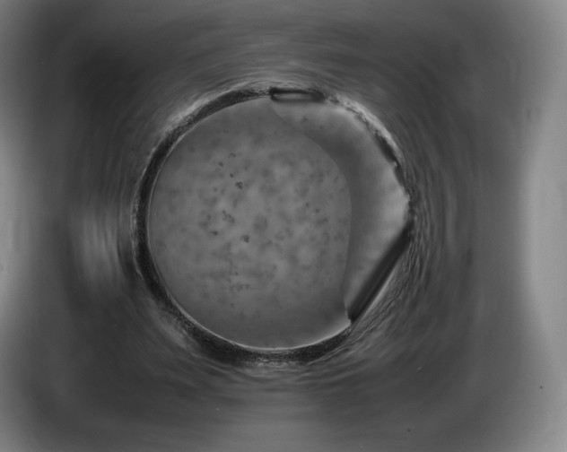 X0000085290487200703091413