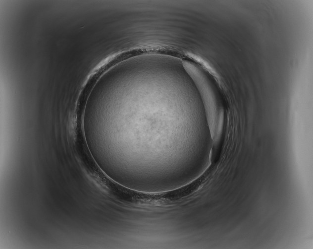 X0000085290488200703091413