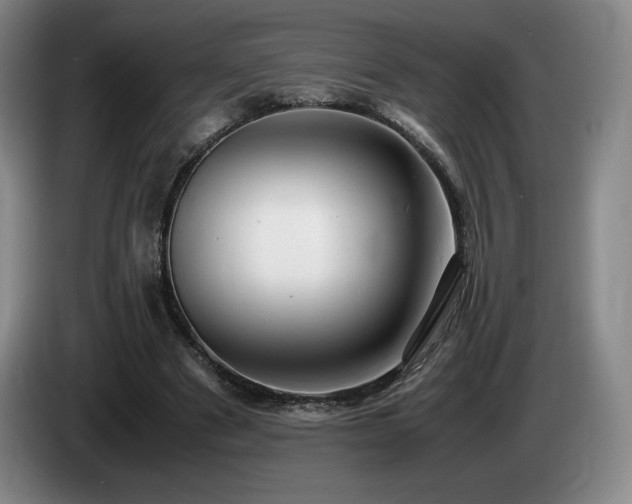 X0000085290489200703091413