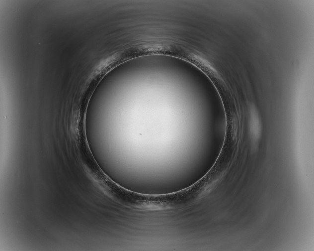 X0000085290490200703091413