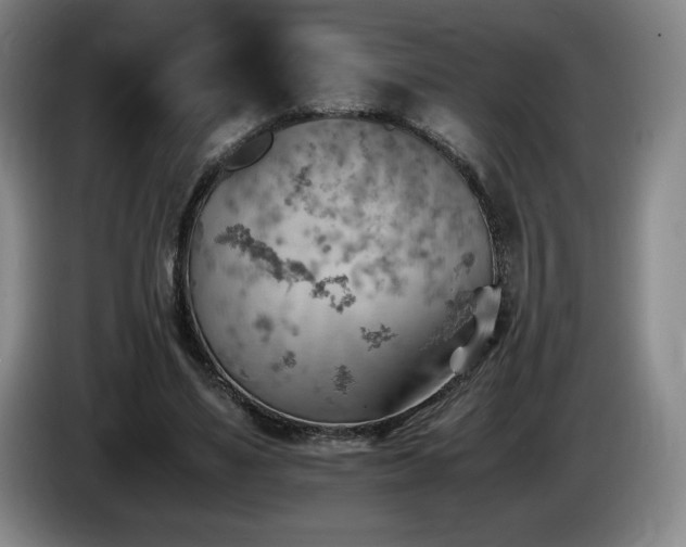 X0000085290491200703091413