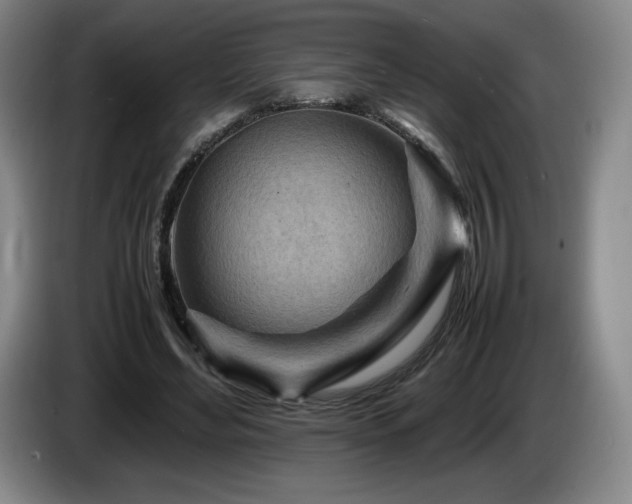 X0000085290492200703091413