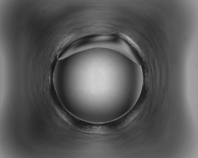 X0000085290493200703091413