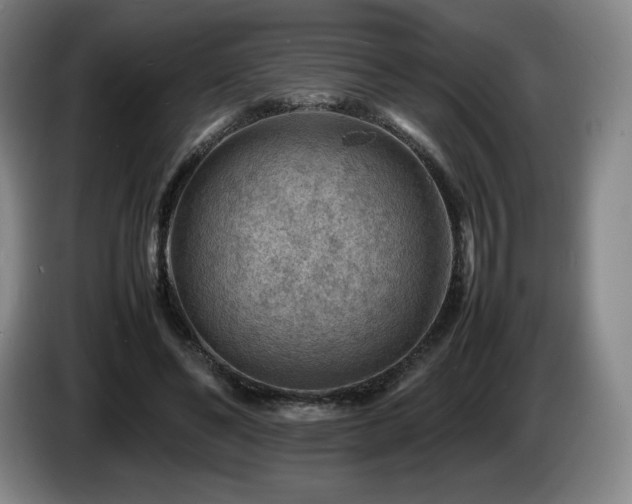X0000085290494200703091413