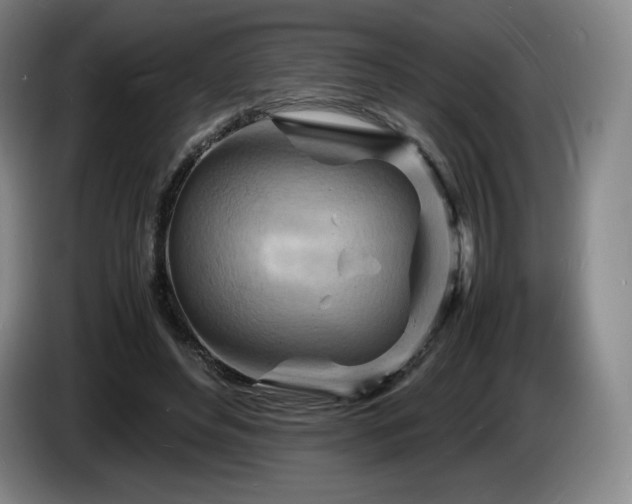 X0000085290496200703091413