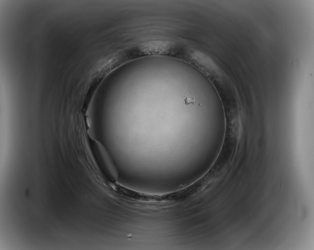 X0000085290498200703091413