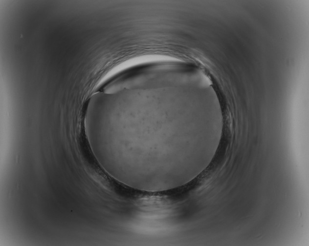 X0000085290499200703091413