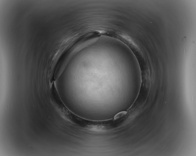 X0000085290500200703091413