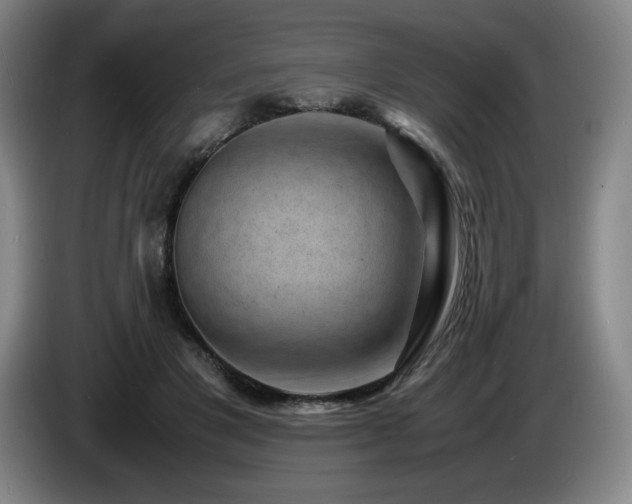 X0000085290501200703091413