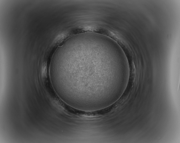 X0000085290502200703091413