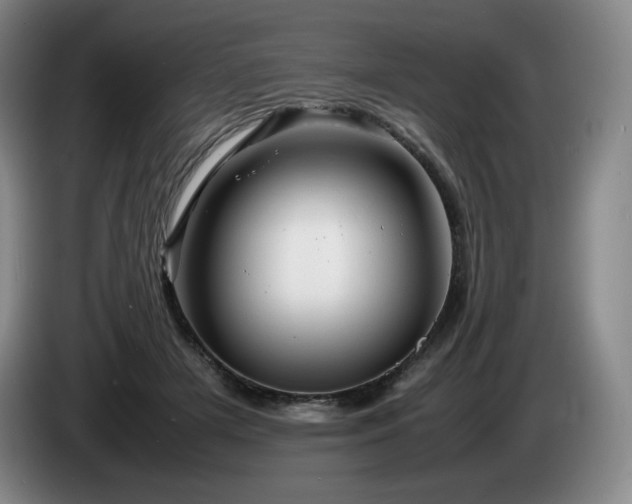 X0000085290505200703091413